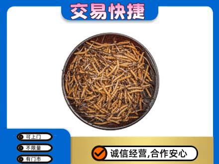 长春高价回收散虫草